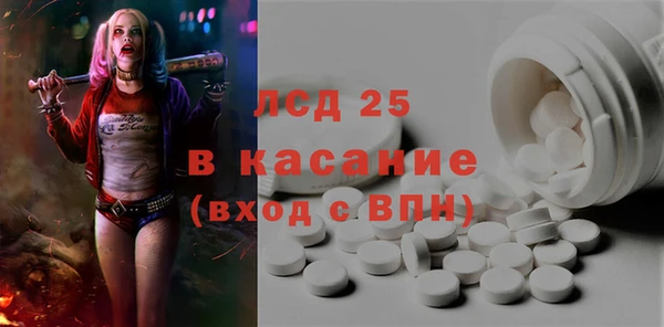 ПСИЛОЦИБИНОВЫЕ ГРИБЫ Няндома