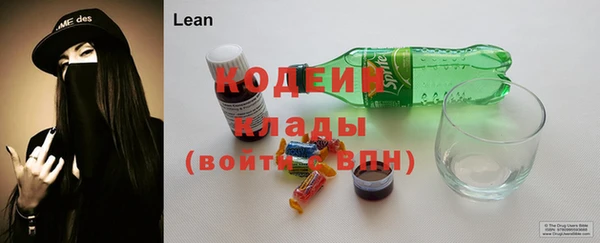 ПСИЛОЦИБИНОВЫЕ ГРИБЫ Няндома