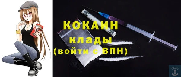 ПСИЛОЦИБИНОВЫЕ ГРИБЫ Няндома