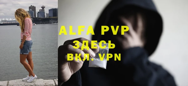 ПСИЛОЦИБИНОВЫЕ ГРИБЫ Няндома