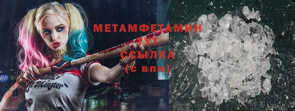 ПСИЛОЦИБИНОВЫЕ ГРИБЫ Няндома