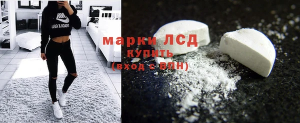 ПСИЛОЦИБИНОВЫЕ ГРИБЫ Няндома