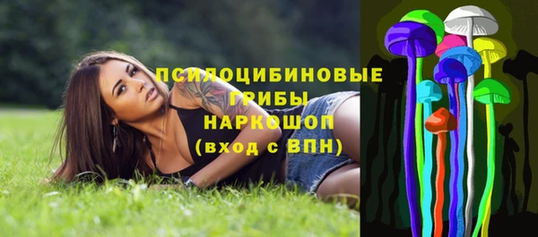 ешки Киселёвск