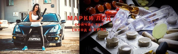 ПСИЛОЦИБИНОВЫЕ ГРИБЫ Няндома