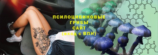 ПСИЛОЦИБИНОВЫЕ ГРИБЫ Няндома