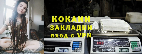 ПСИЛОЦИБИНОВЫЕ ГРИБЫ Няндома