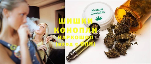 ПСИЛОЦИБИНОВЫЕ ГРИБЫ Няндома