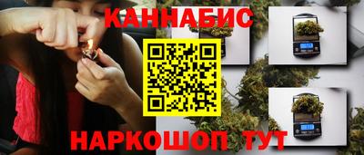 гашик Камышлов