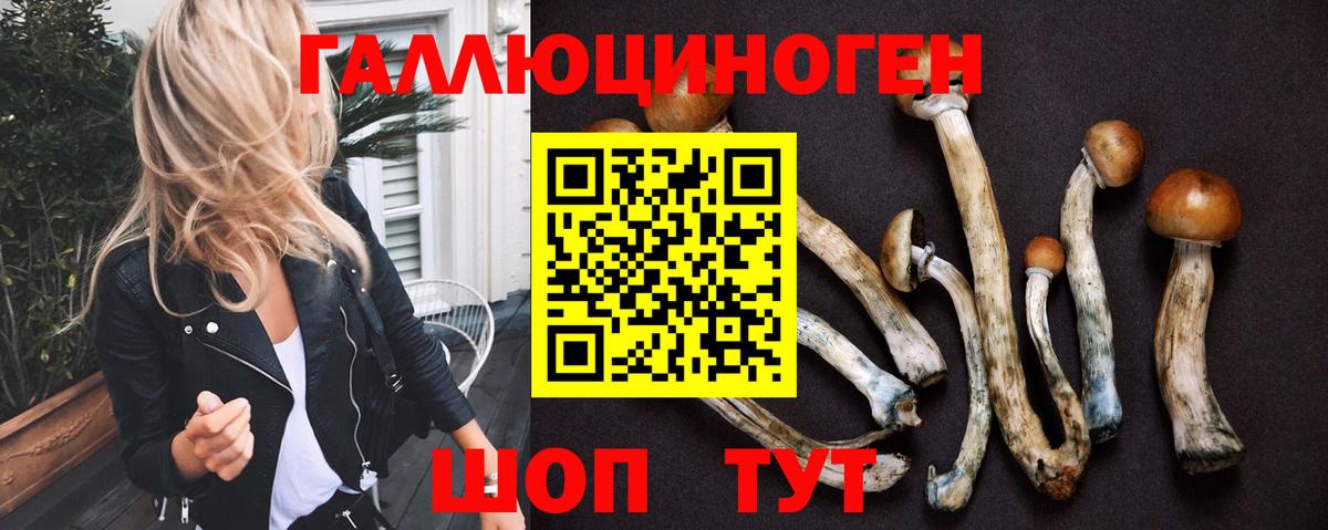 Псилоцибиновые грибы Psilocybine cubensis  Вход с VPN  даркнет сайт  Сегежа 