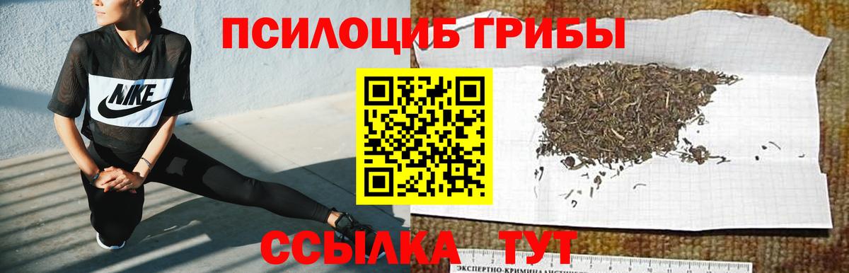 Псилоцибиновые грибы мицелий Сегежа